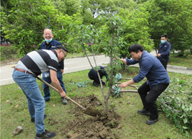 Sustainability Activities